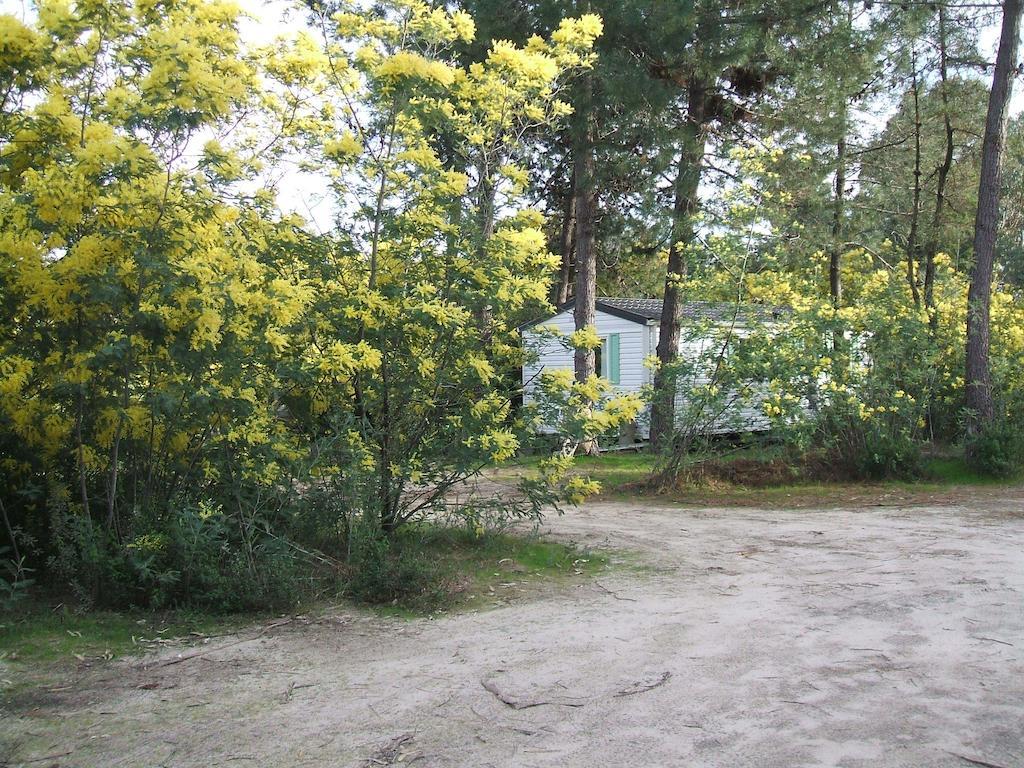 Residence Santa Ghisonaccia Εξωτερικό φωτογραφία