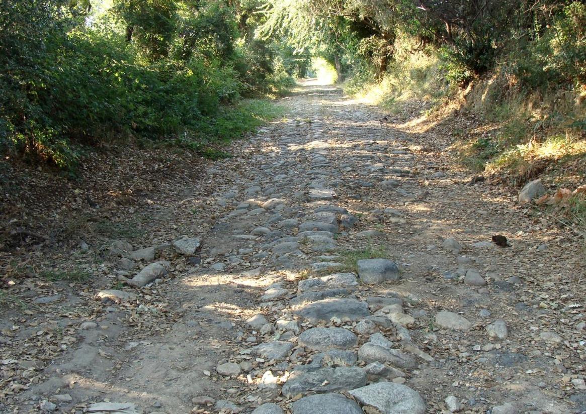 Residence Santa Ghisonaccia Εξωτερικό φωτογραφία